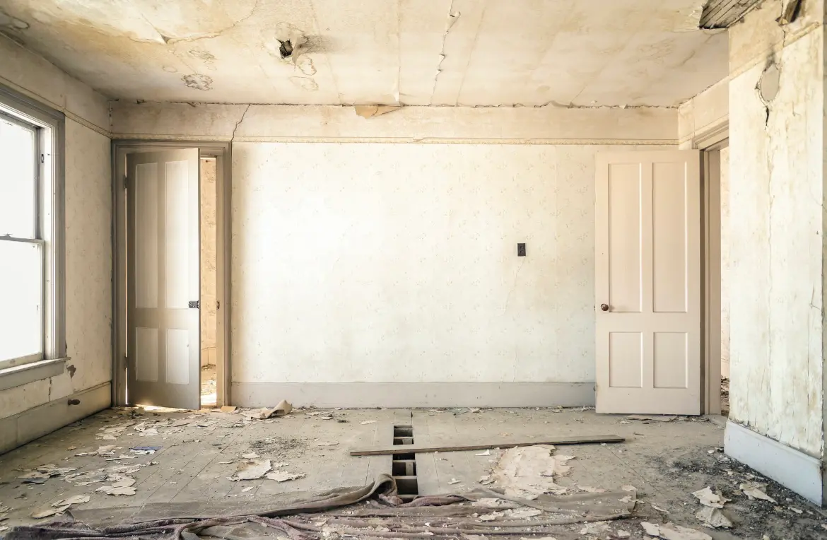 Waste disposal crew managing a cleanout project in Shady Shores